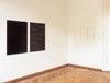 Douglas Allsop, exhibition view: façade, 2009, Olschewski & Behm, Frankfurt