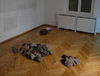 Ráðhildur Ingadóttir - Layers, installation view, 2010, Olschewski & Behm, Frankfurt